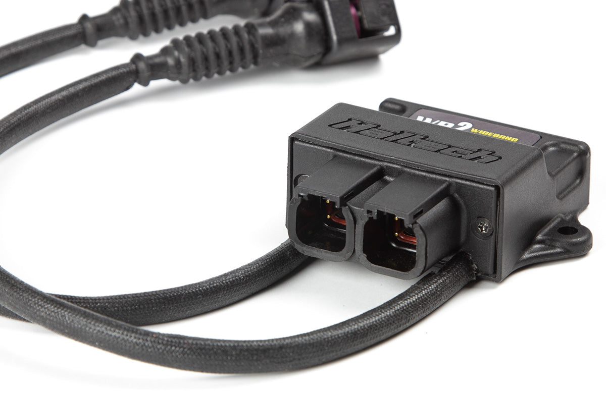 Haltech WB2 - Dual Channel CAN O2 Wideband Controller Kit