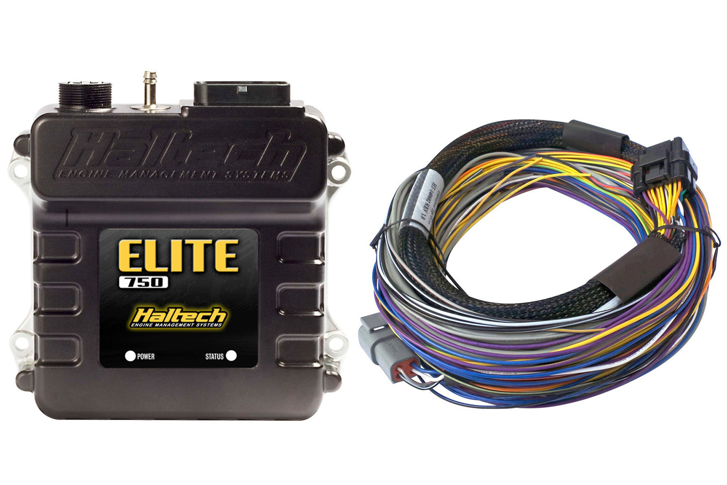 Haltech Elite 750 + 2.5m (8ft) Basic Universal Wire-in Harness Kit